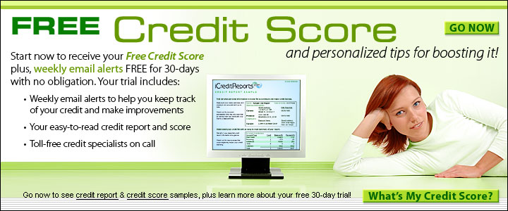 Preventing Access To Credit Report